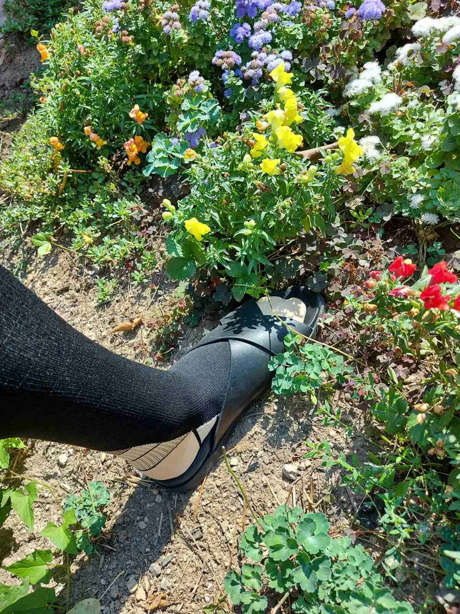 files/image_2025-06-09_233033218.png